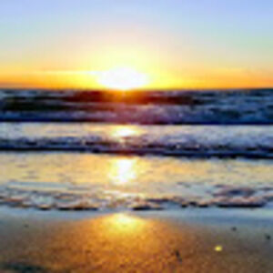 Meet your Posher, Krishna